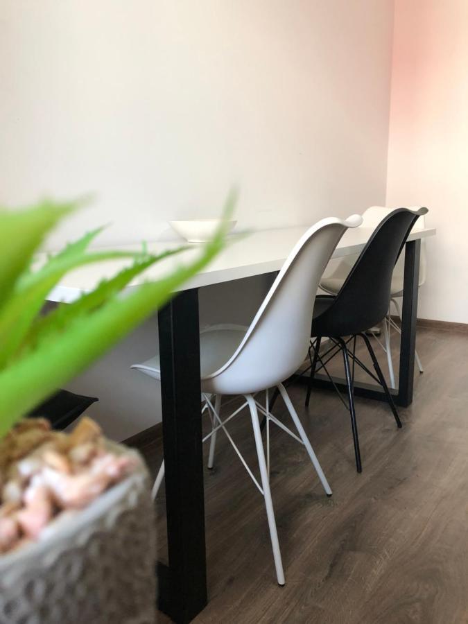 شقة براشوف  في Max Apartament المظهر الخارجي الصورة